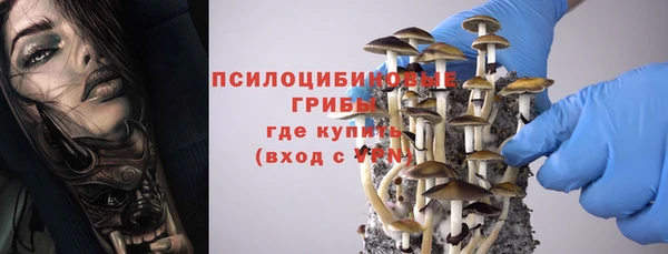 эйфоретик Пролетарск
