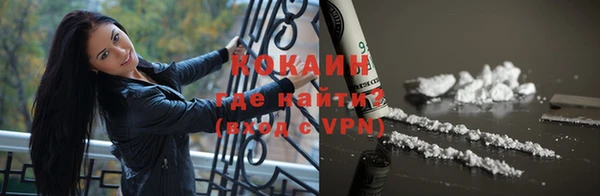 прущие грибы Протвино