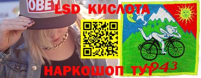 гидра Беслан