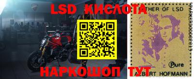 гидра Беслан