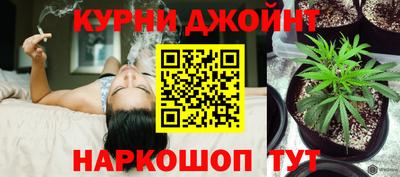 сатива Дубна