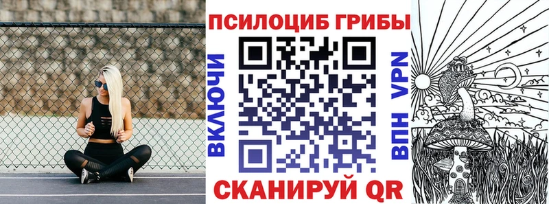 МЕГА как войти купить наркотик Соликамск Галлюциногенные грибы Cubensis