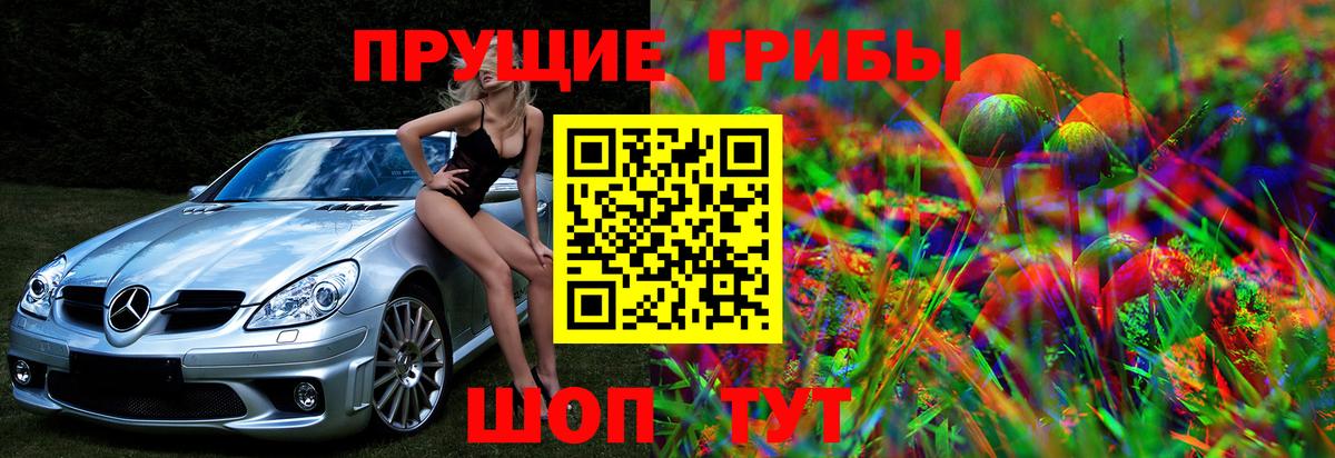 Галлюциногенные грибы GOLDEN TEACHER Соликамск