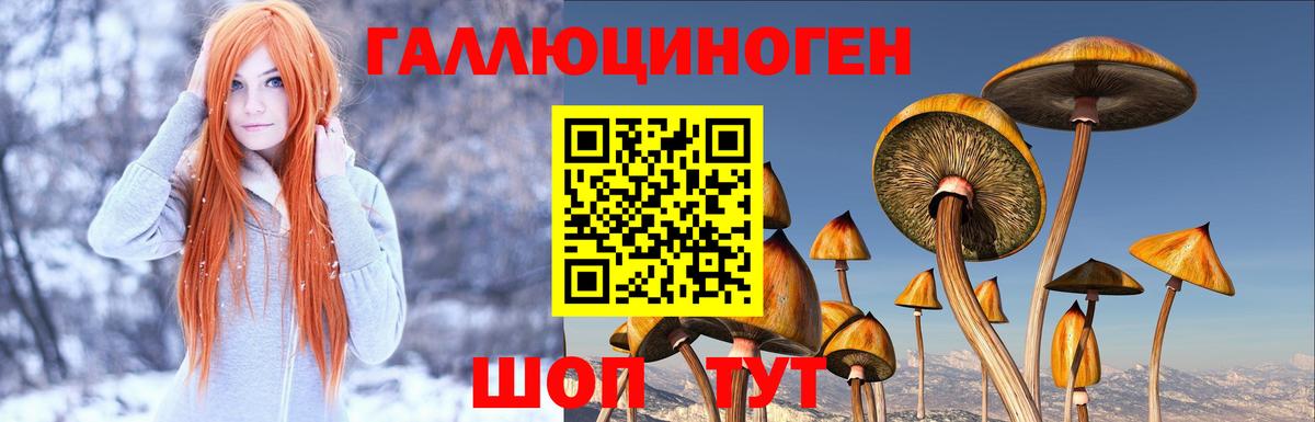 Галлюциногенные грибы Cubensis Соликамск