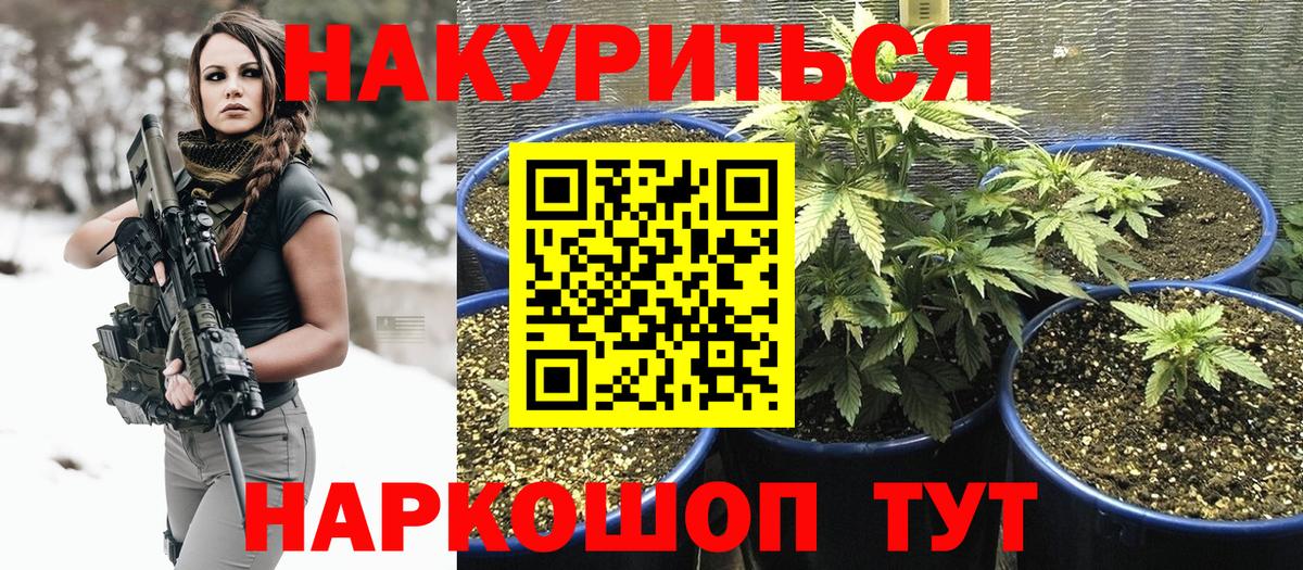 Бошки марихуана конопля Соликамск